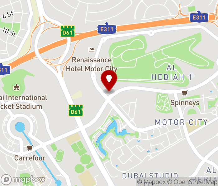 Ted Morgan Hair in Dubai Motor City, Dubai